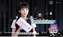 天涯爆料金莎视频,天涯爆料背后的真相揭秘